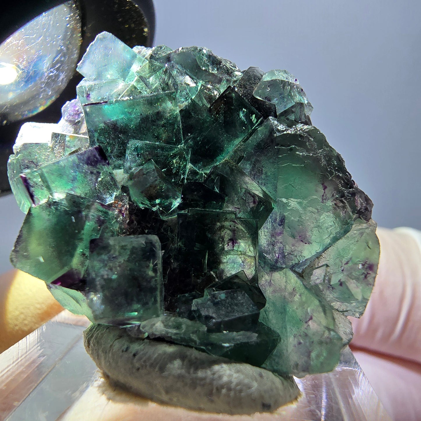 Spécimen de cube de fluorite fantôme, parqueté vert violet Okorusu, Namibie 35*27*13 mm