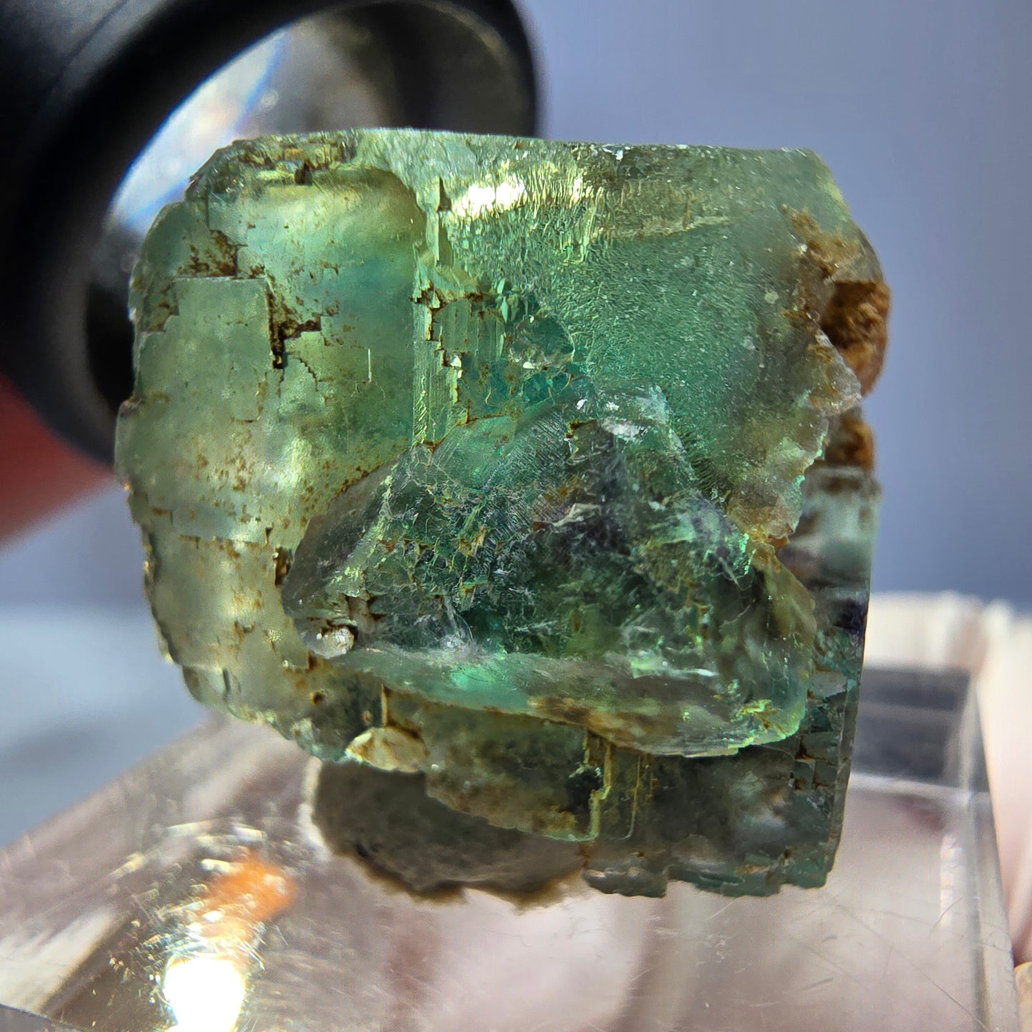 Cube de fluorite fantôme transparente parquetée, vert Okorusu, Namibie 21 x 19 x 19 mm