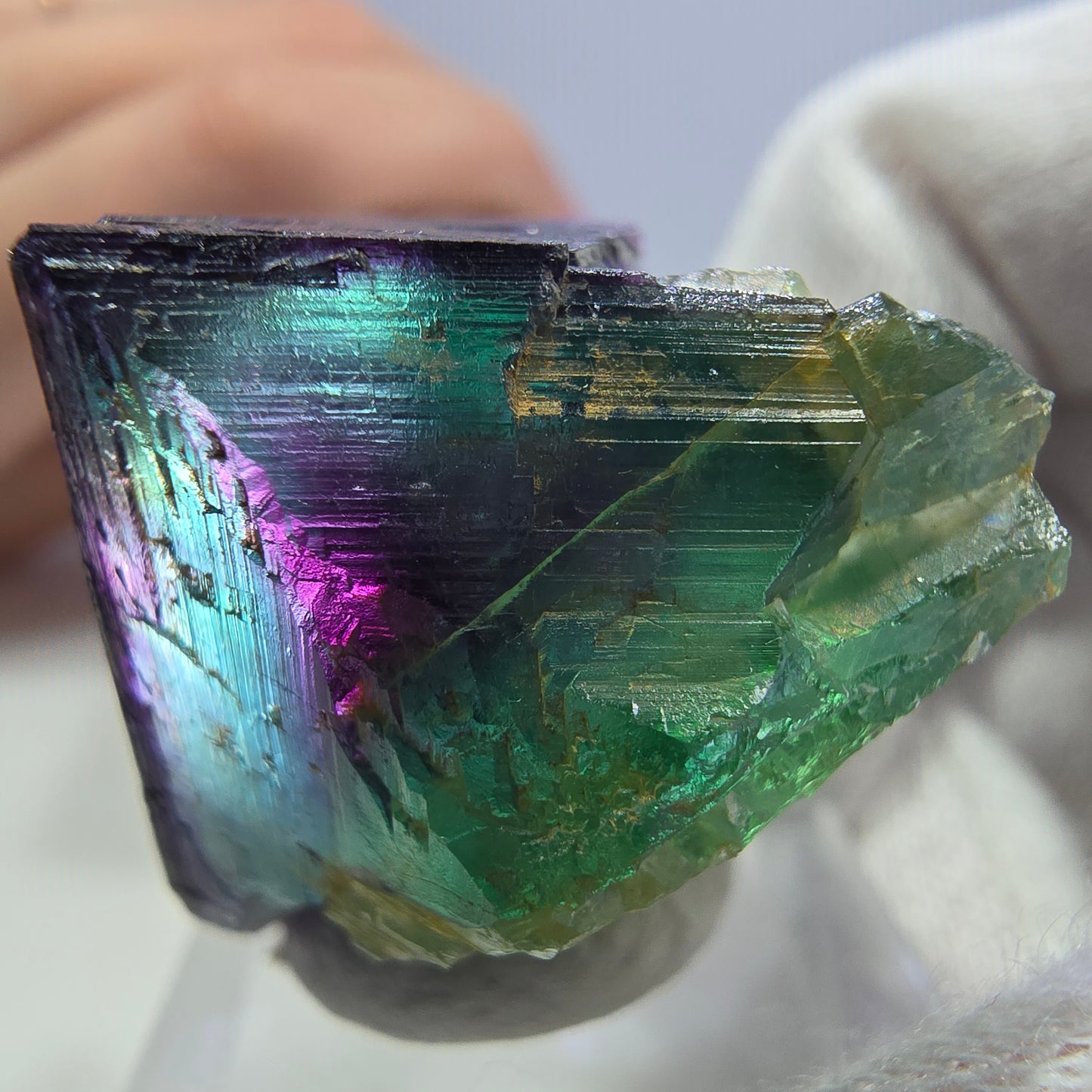 Spécimen de cube de fluorite fantôme transparente, vert-violet zonal, Okorusu, Namibie, 42 x 28 x 24 mm