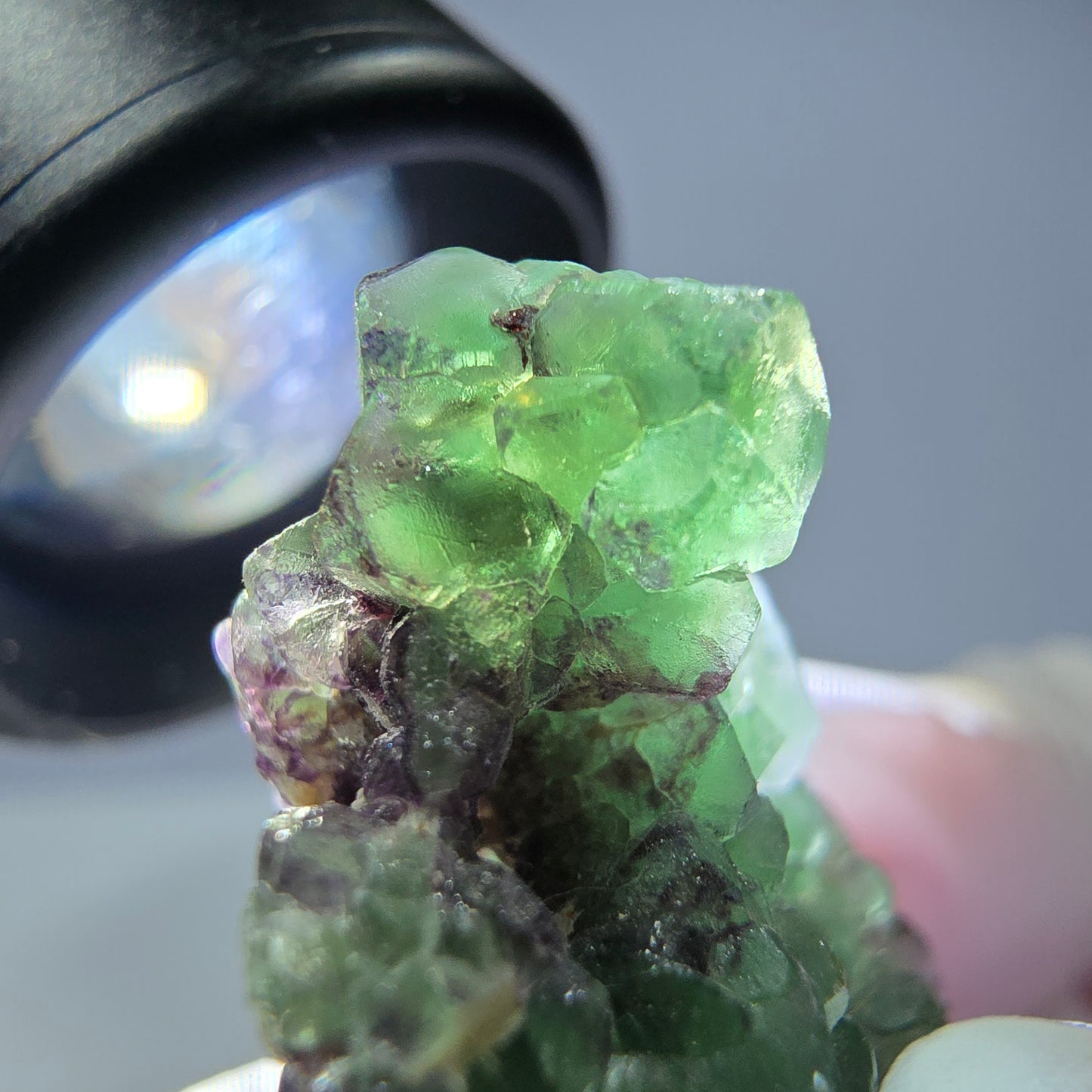 Cube de fluorite fantôme, zonal, spécimen de muscovite, Erongo, Namibie, 40 x 23 x 17 mm