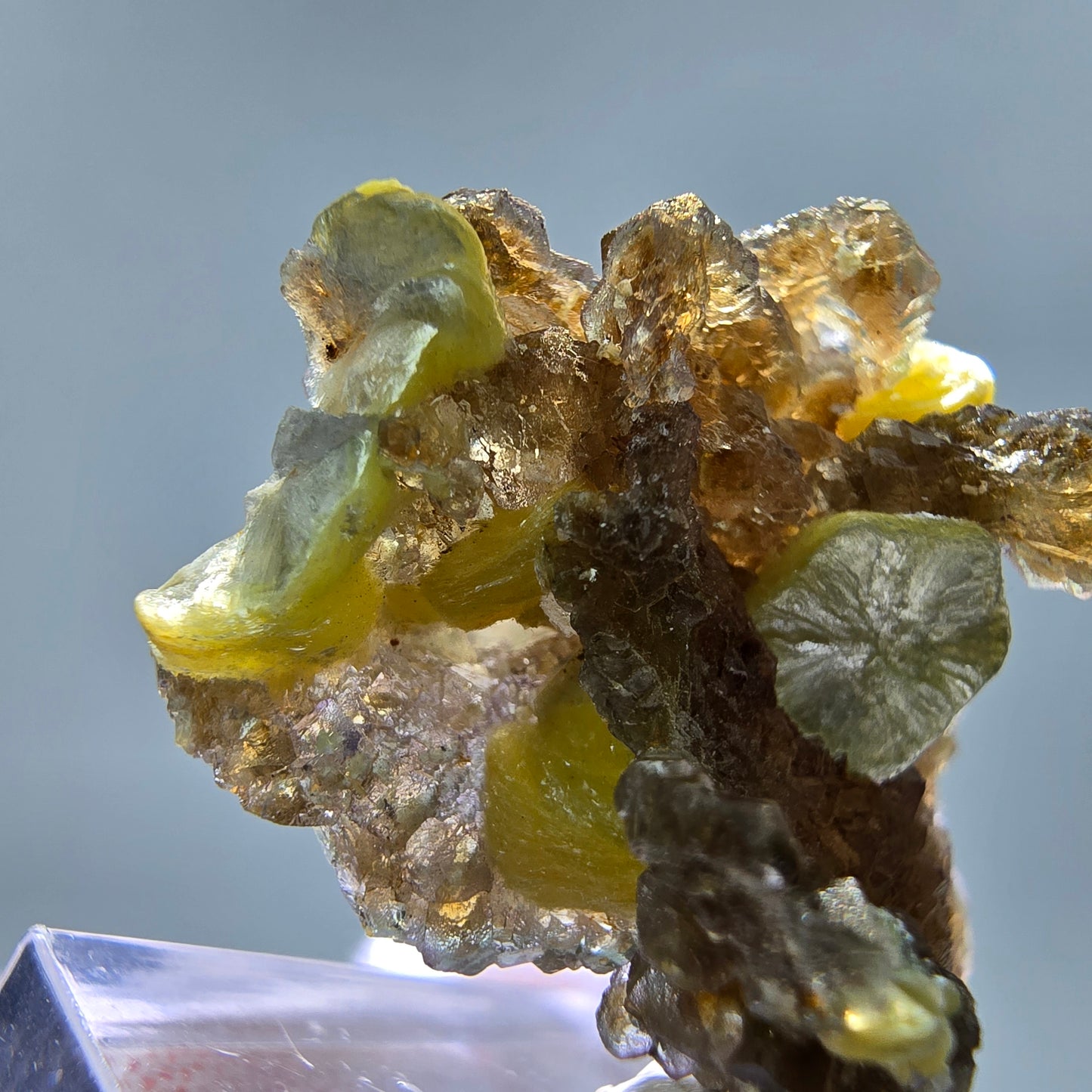 Phantom Fluorit Würfel grün braun, Muskovit Stufe Erongo, Namibia 34*25*17mm
