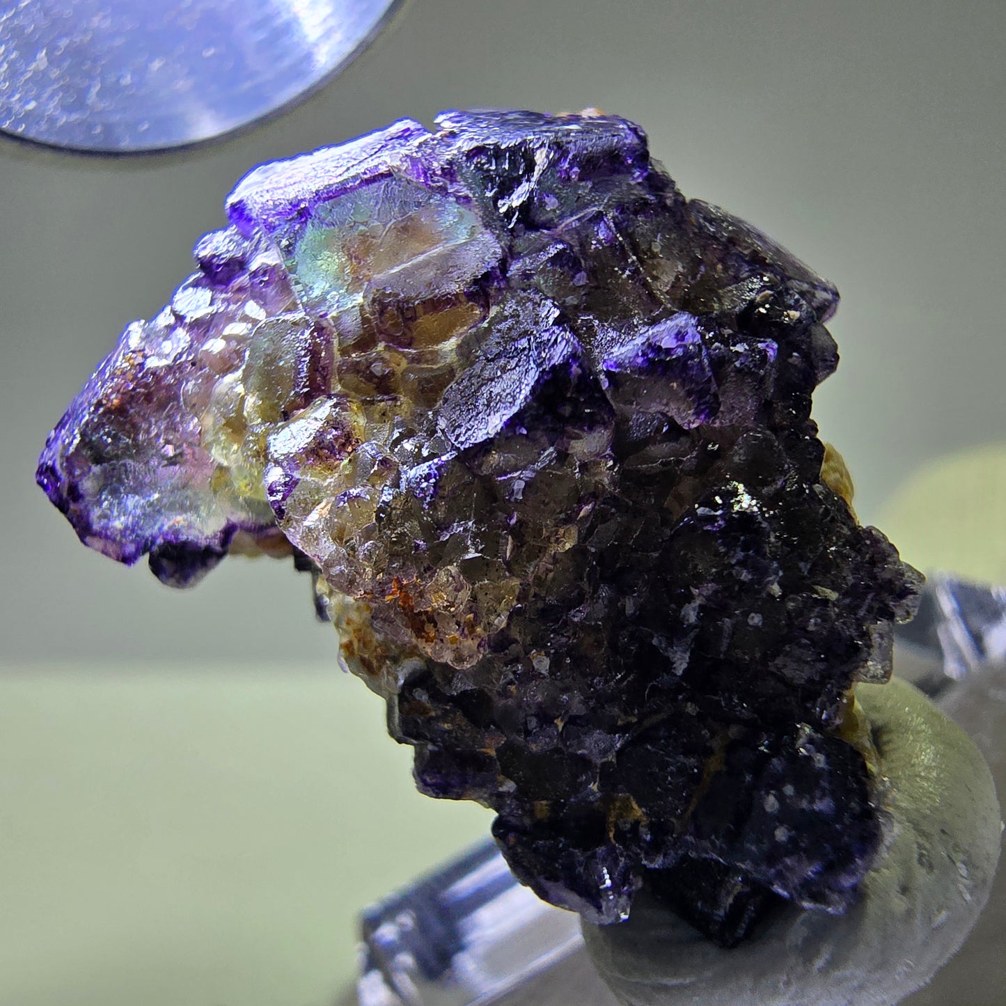 Cubes de fluorite fantôme colorés, spécimen de muscovite, Erongo, Namibie, 25 x 18 x 11 mm