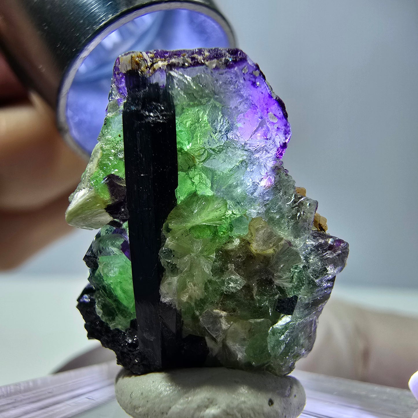 Cube de fluorite fantôme, zonal, muscovite, spécimen de tourmaline Schorl, Erongo, Namibie, 24 x 17 x 13 mm