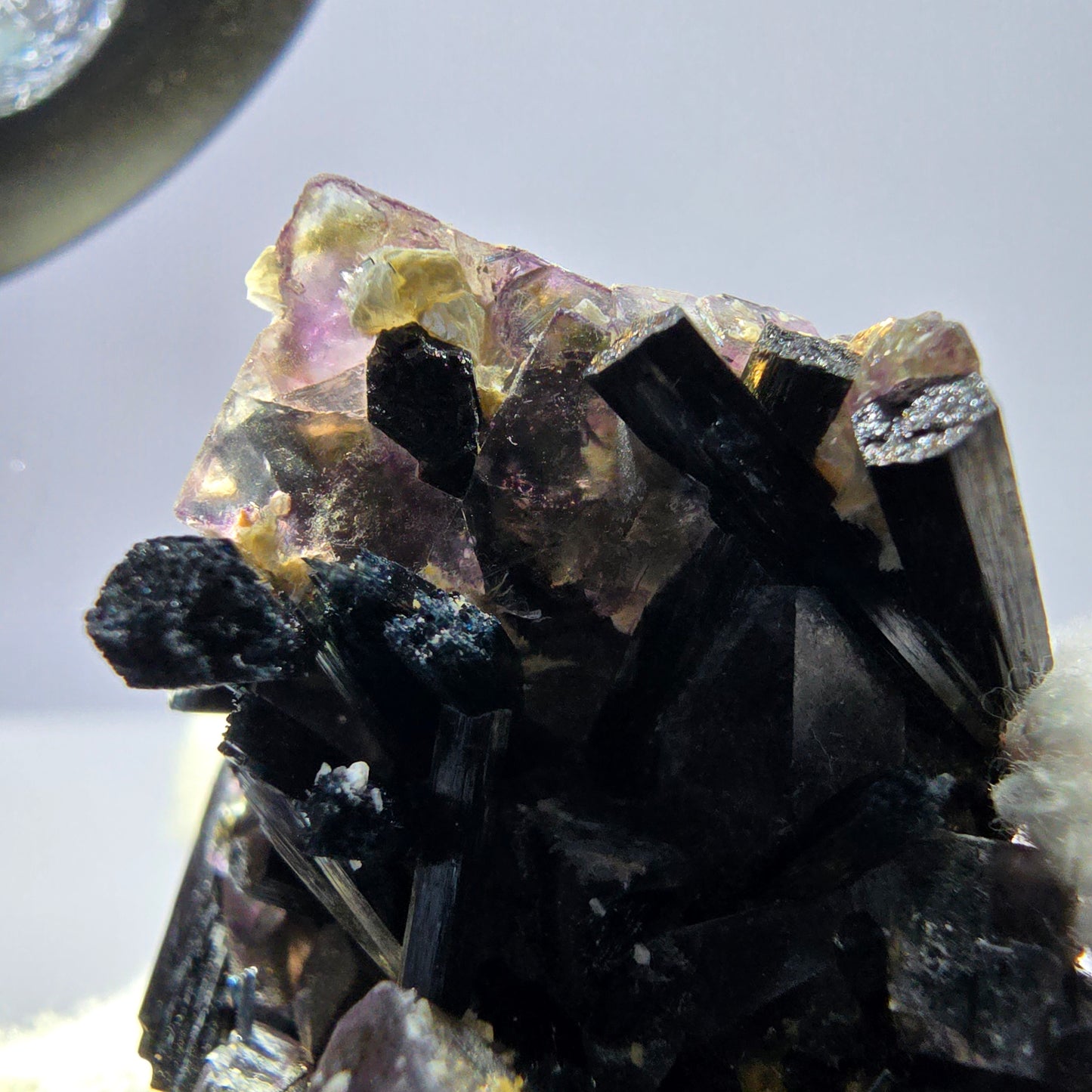 Spécimen de fluorite fantôme colorée, tourmaline scholle, muscovite, Erongo, Namibie, 49 x 41 x 28 mm