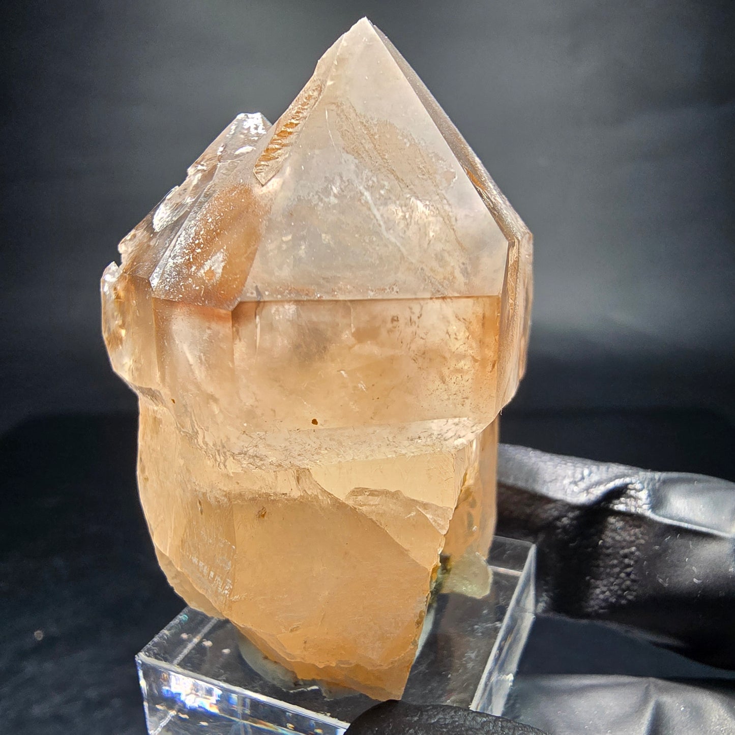 Klare Phantom Rauchquarz Zepter Spitze Erongo, Namibia 51*44*33mm Sammlung