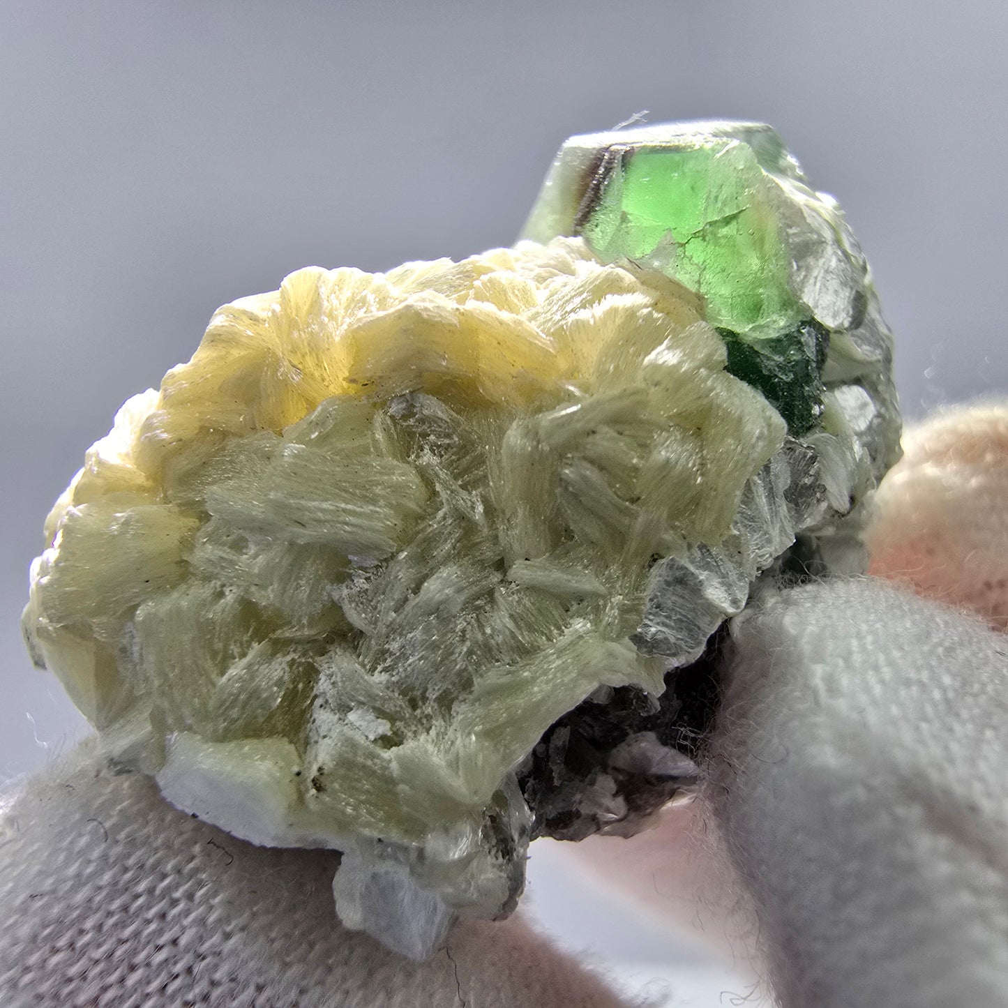 Phantom Fluorit Würfel, Muskovit Stufe Erongo, Namibia 28*21*18mm Sammlung