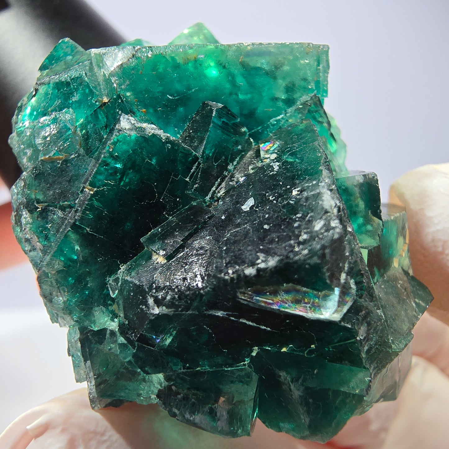 Spécimen de cube de fluorite fantôme, parqueté vert violet Okorusu, Namibie 47*36*24 mm