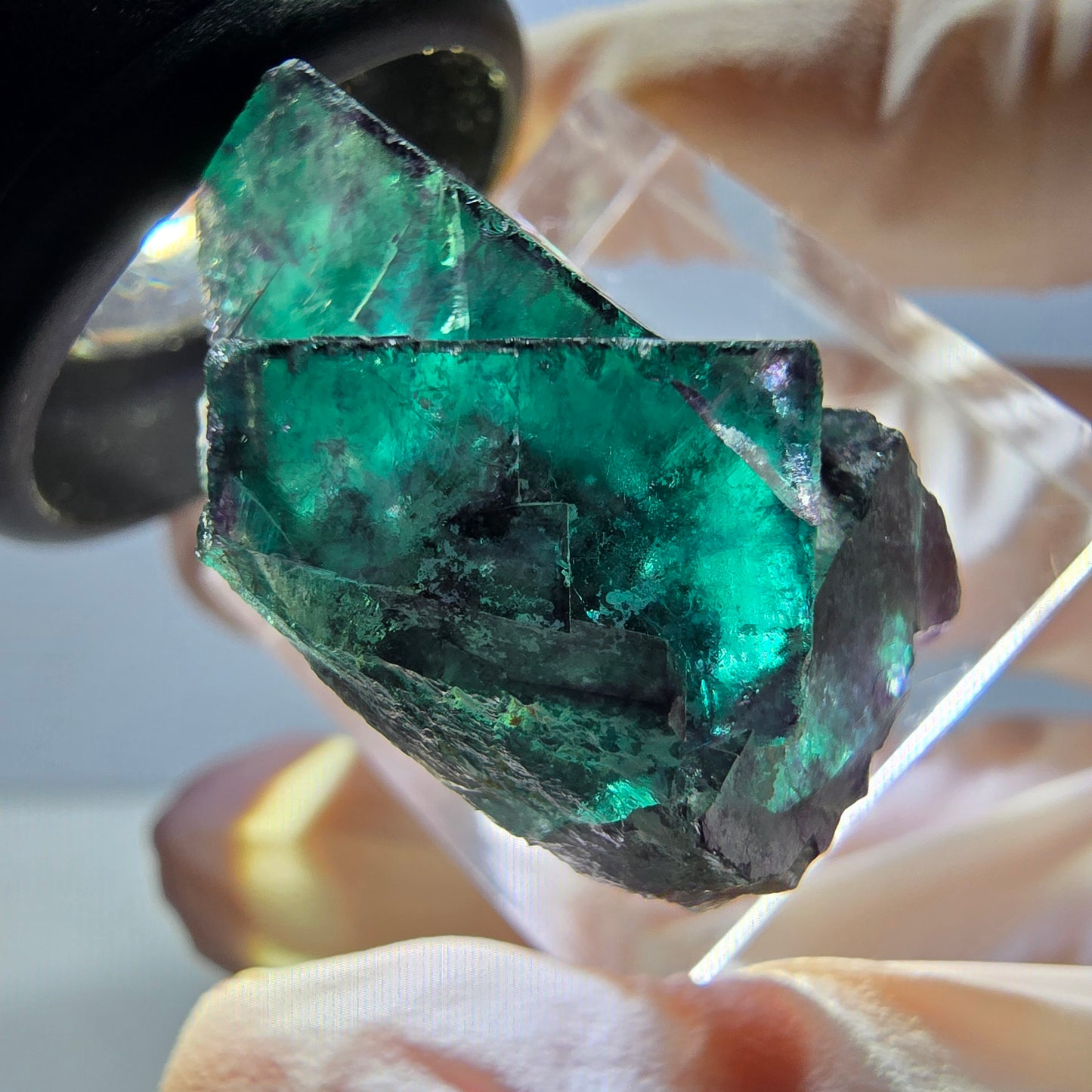 Spécimen de cube de fluorite fantôme, parqueté vert violet Okorusu, Namibie 27 x 24 x 15 mm
