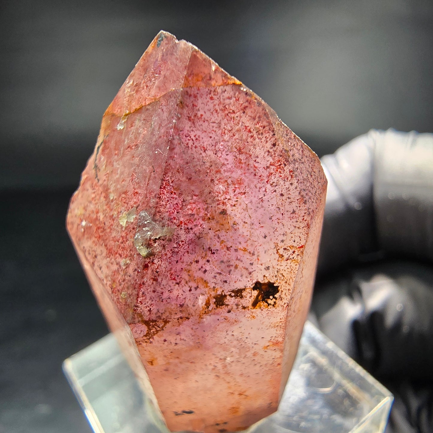 Beautiful Phantom Scepter Amethyst Point purple Brandberg Namibia 40*22*16mm Collection