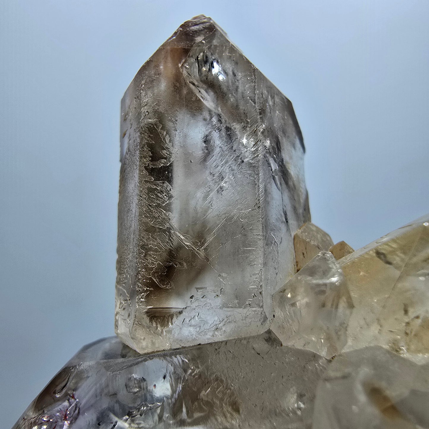 Amas de quartz fumé Harlequin Enhydro, 1x Bubble Goboboseb, Namibie 37 x 34 x 18 mm