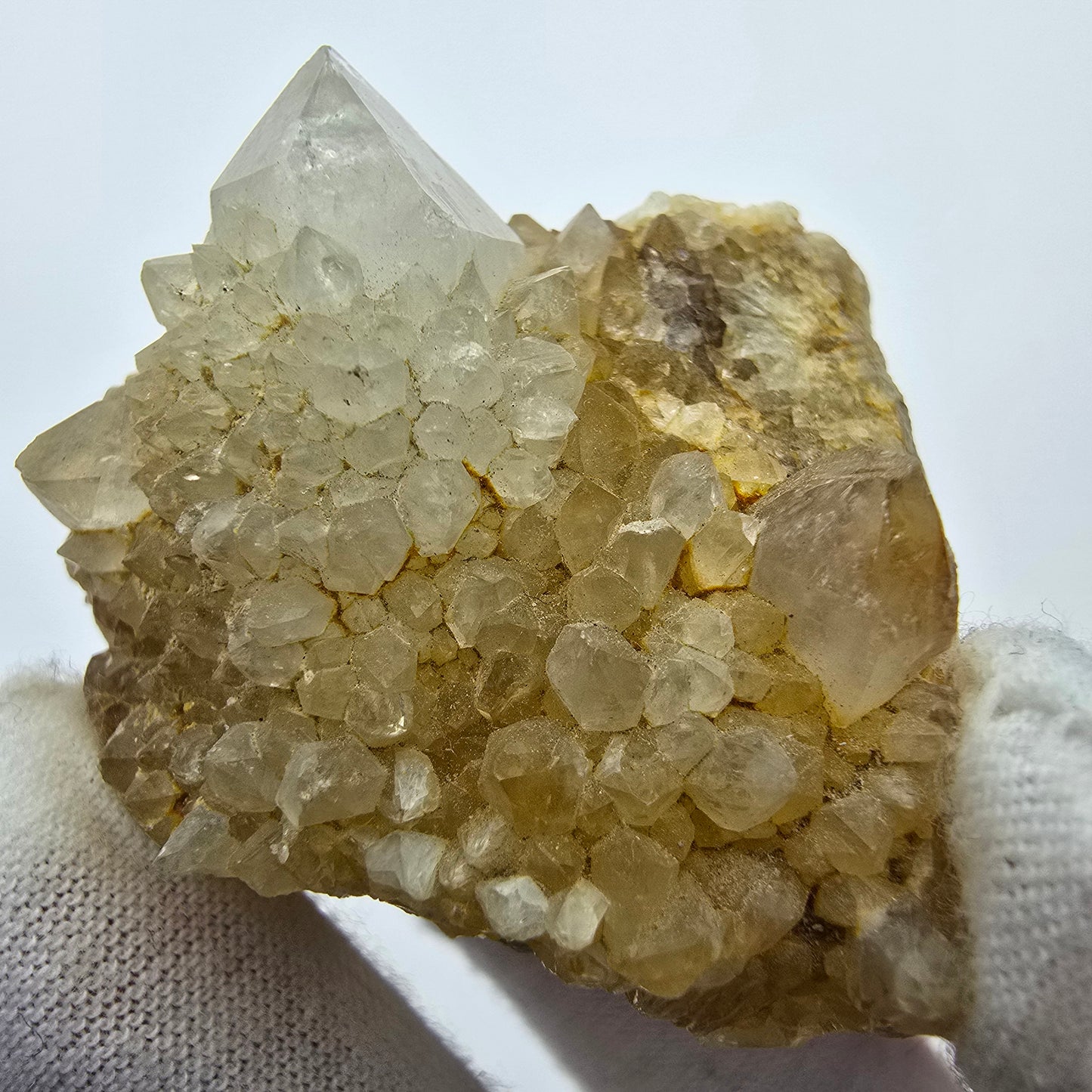 Kaktusquarz, Spirit Quarz XX Stufe Boekenhouthoek, Südafrika 55*43*27mm Sammlung