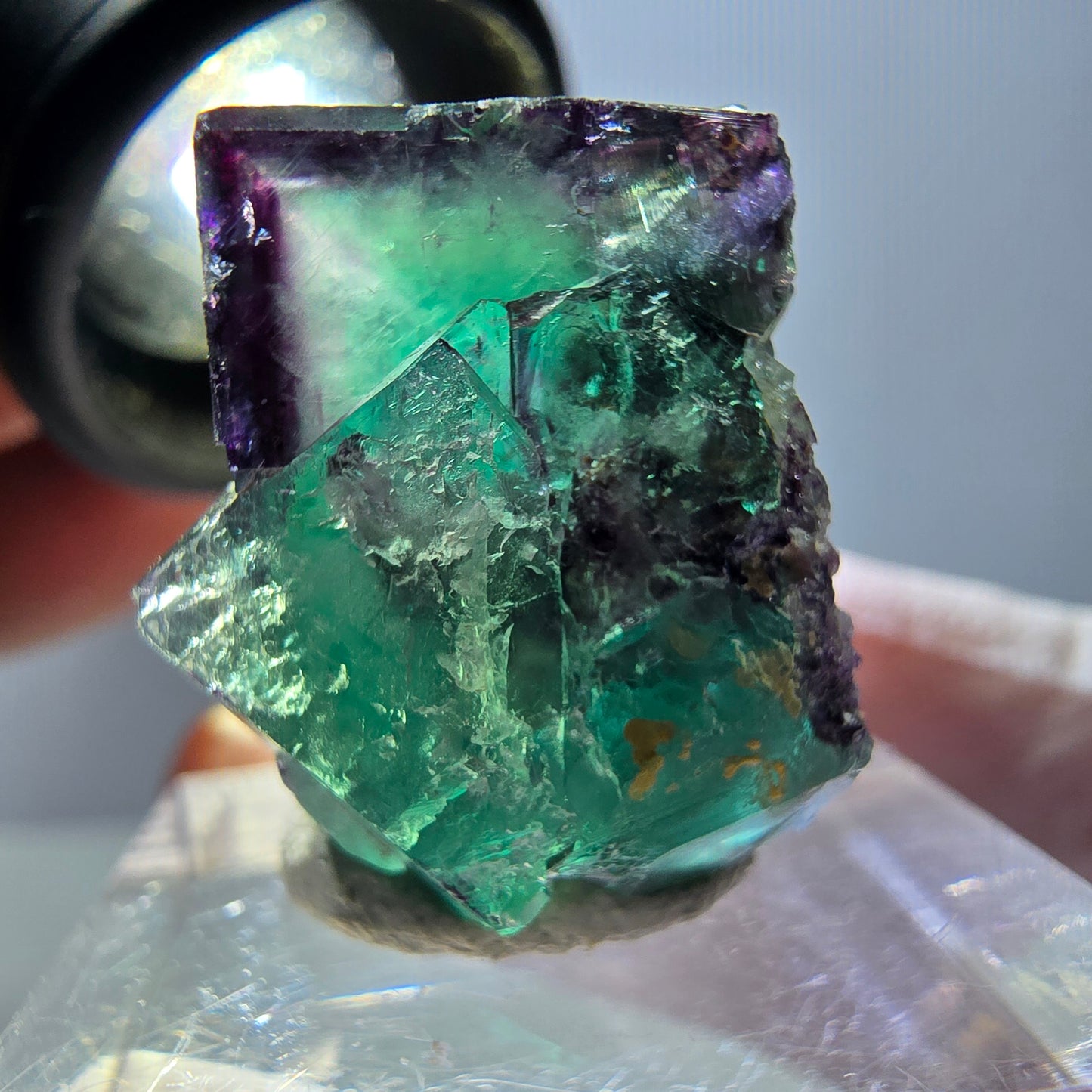 Spécimen de cube de fluorite fantôme, parqueté vert violet Okorusu, Namibie 22*22*18 mm
