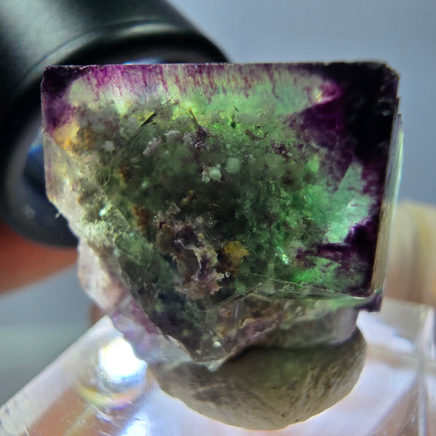 Phantom Fluorit Würfel parkettiert, zonal, grün lila Okorusu, Namibia 21*20*18mm