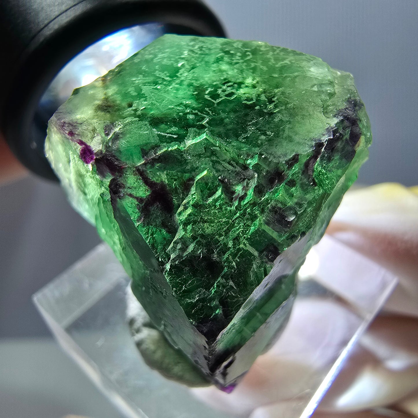 Phantom Fluorit Würfel parkettiert, zonal, grün lila Okorusu, Namibia 31*22*20mm