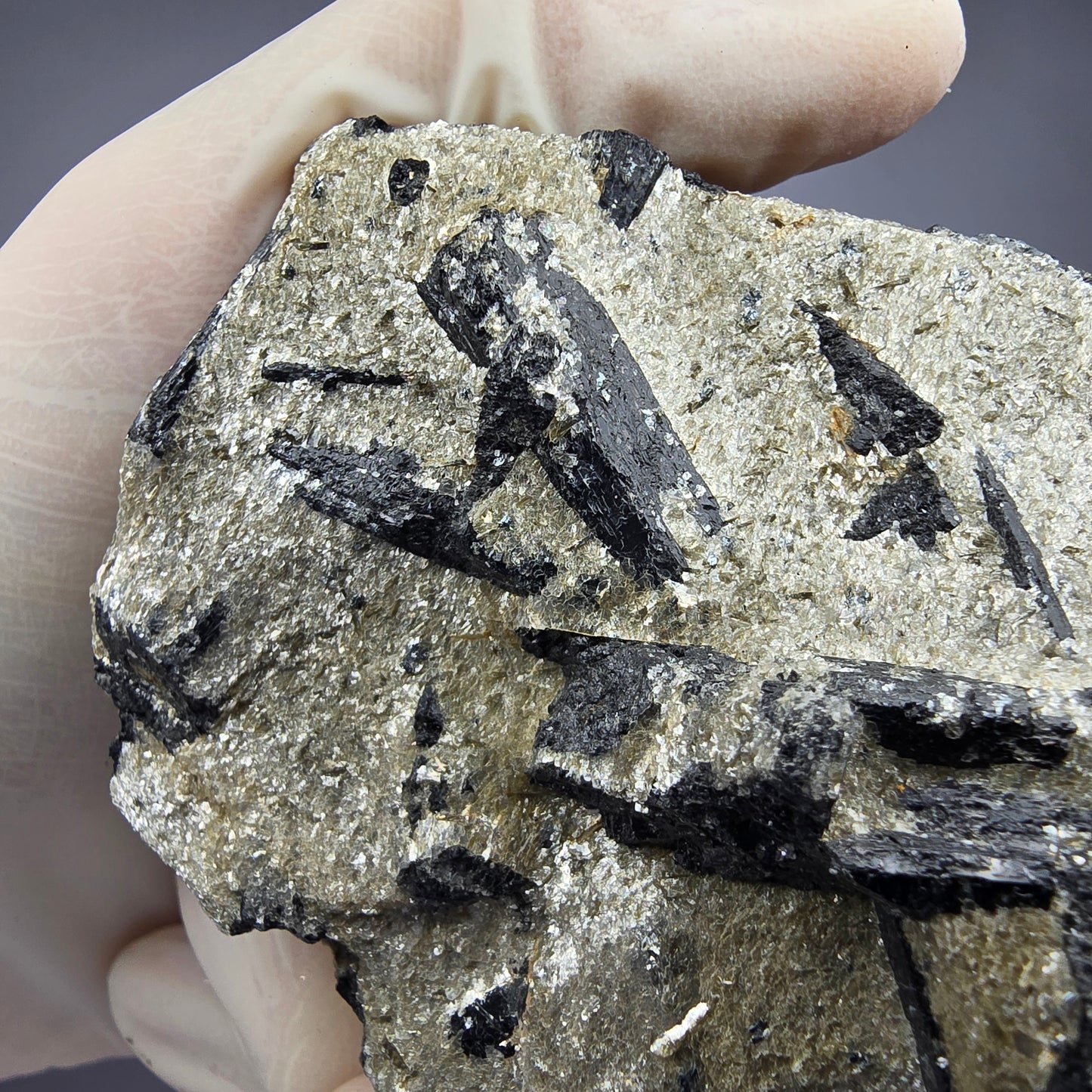 Seltene Schörl Turmalin auf Matrix Stufe 76*63*32mm Namibia Mineraliensammlung