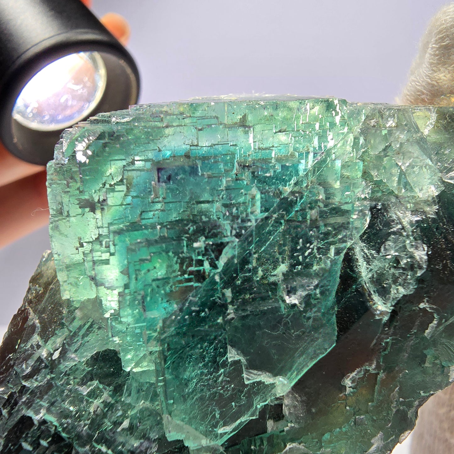 Rare spécimen de cube de fluorite fantôme, parqueté vert Okorusu, Namibie, 78 x 47 x 35 mm