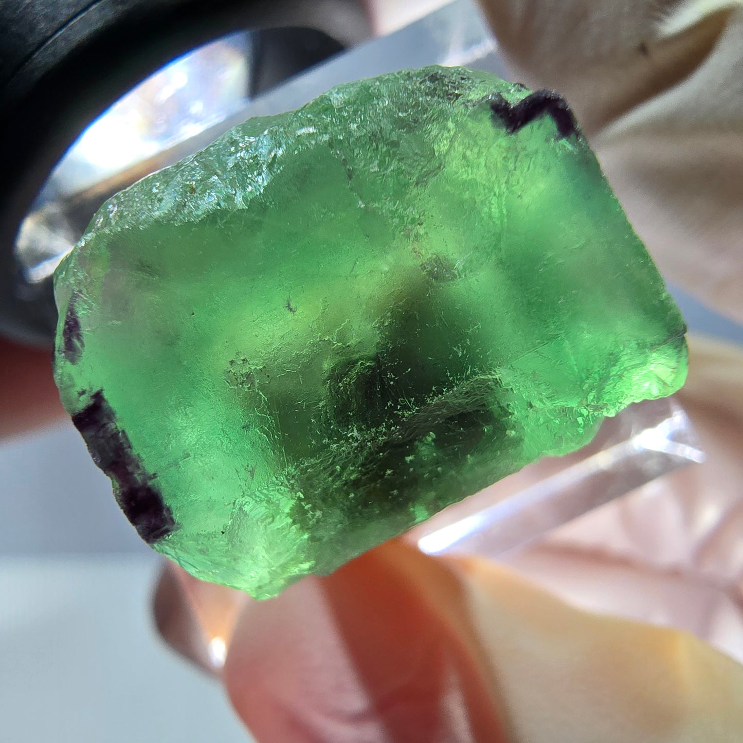 Cube de fluorite fantôme parqueté, zonal, vert violet Okorusu, Namibie 18*17*15mm