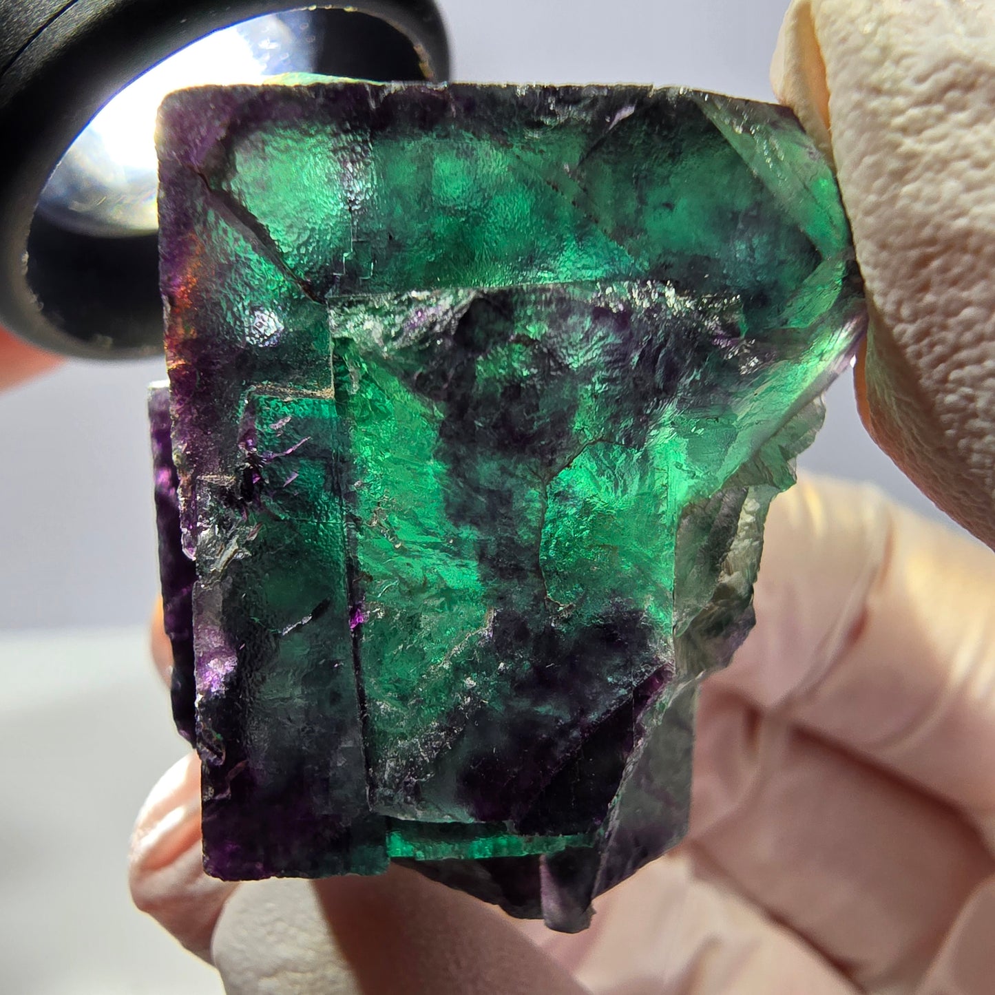 Spécimen de cube de fluorite fantôme, parqueté vert violet Okorusu, Namibie 39*33*22 mm