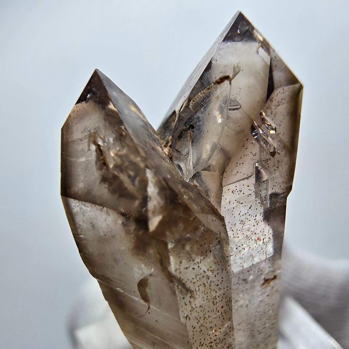 Quartz fumé fantôme transparent DT Scepter Point Goboboseb, Namibie 38 x 16 x 12 mm