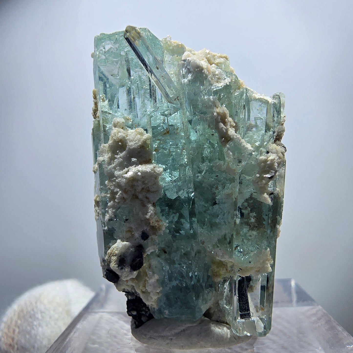 Seltene Aquamarin XX mit Orthoklas, Schörl Turmalin Erongo, Namibia 29*20*17mm