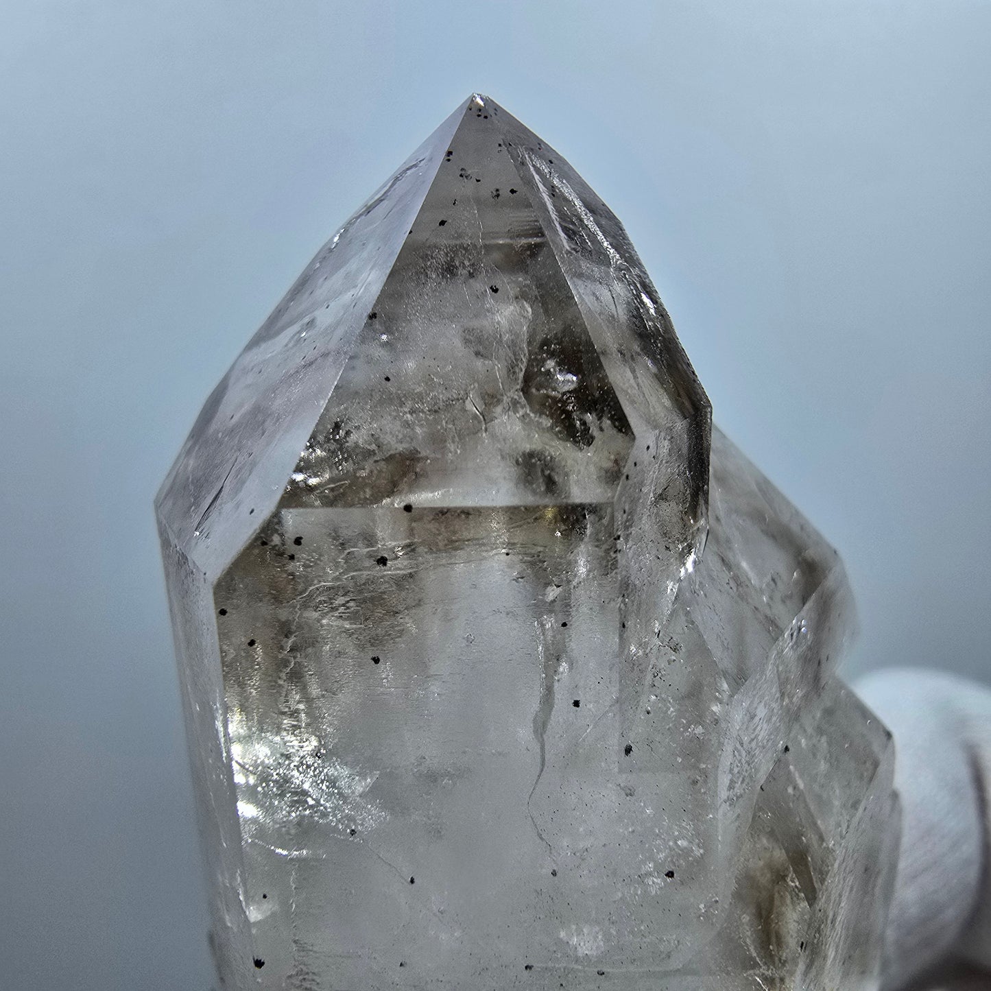 Quartz fumé fantôme DT Sceptre squelette Hématite Valentine Pocket Goboboseb Namibie 64*40*31mm