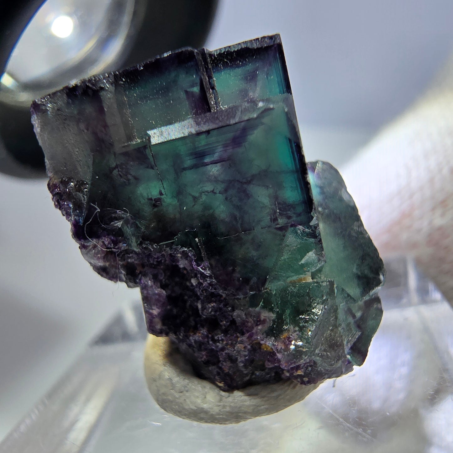 Spécimen rare de cube de fluorite fantôme, vert zonal et violet, Okorusu, Namibie, 24 x 16 x 17 mm