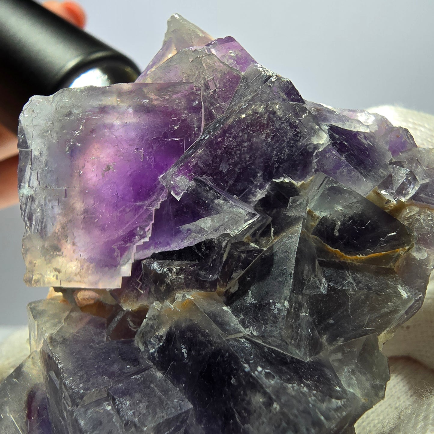 Rare spécimen de cube de fluorite fantôme, bleu-violet Okorusu Namibie 66 x 48 x 32 mm