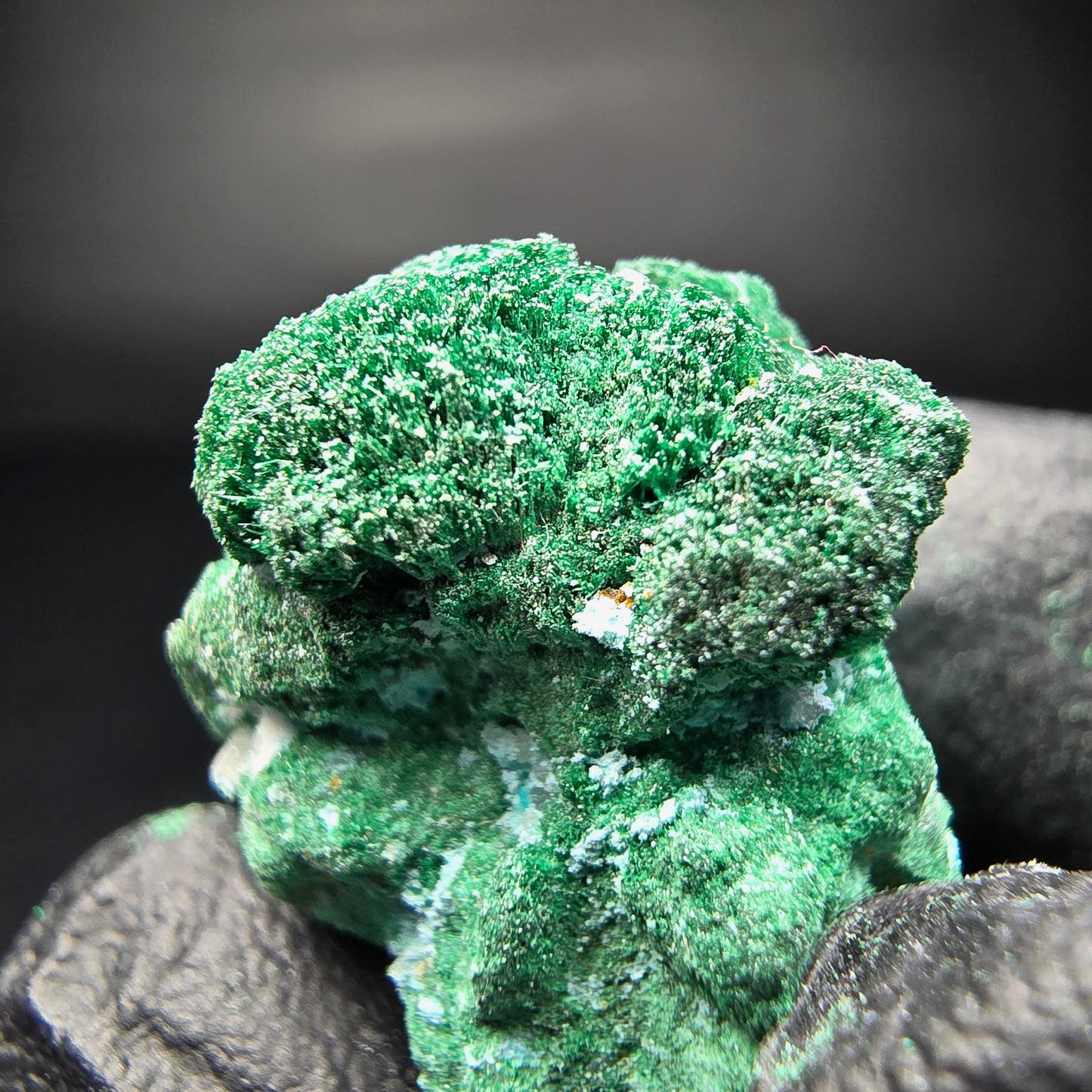 Seltene Malachit, Chrysokoll Stufe Kaokoveld, Namibia 25*20*17mm Sammlung