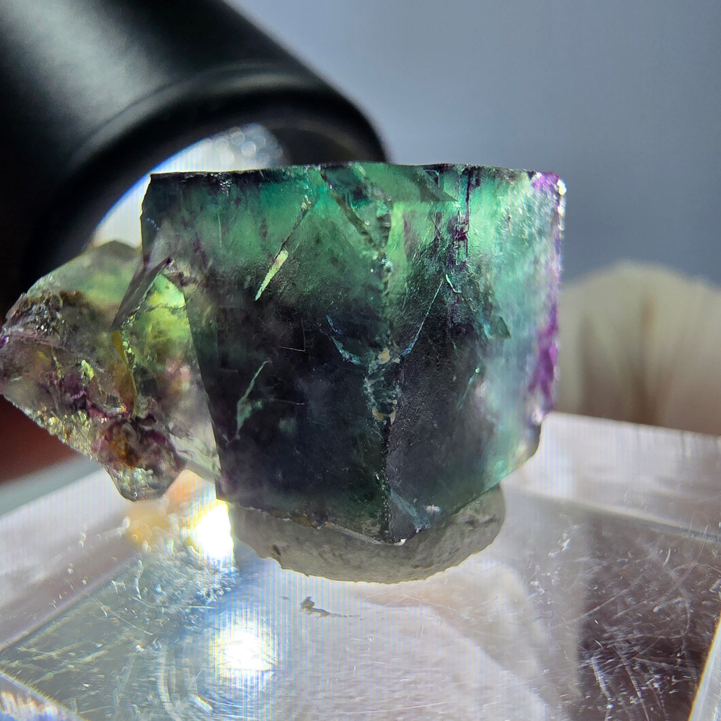 Spécimen de cube de fluorite fantôme, parqueté vert violet Okorusu, Namibie 19*18*14 mm