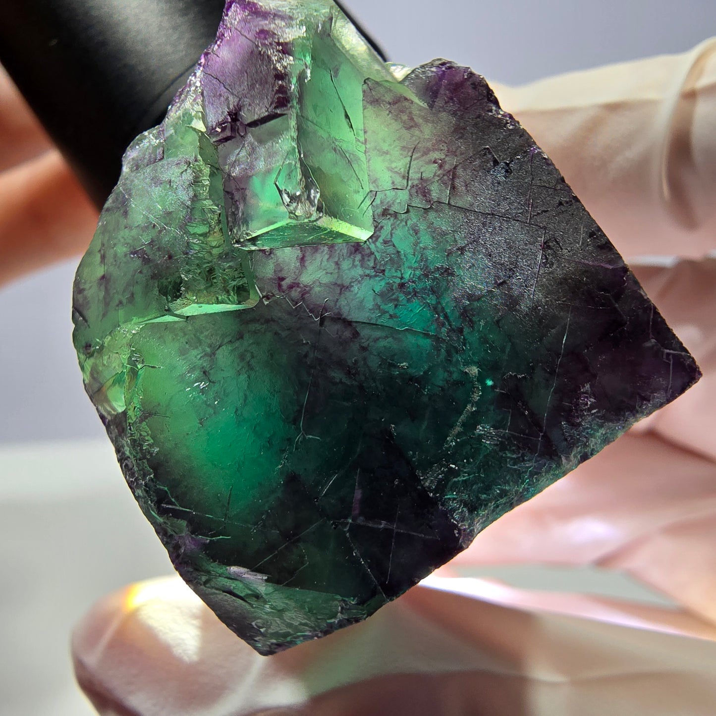 Rare cube de fluorite fantôme parqueté vert violet Okorusu Namibie 41*31*24mm