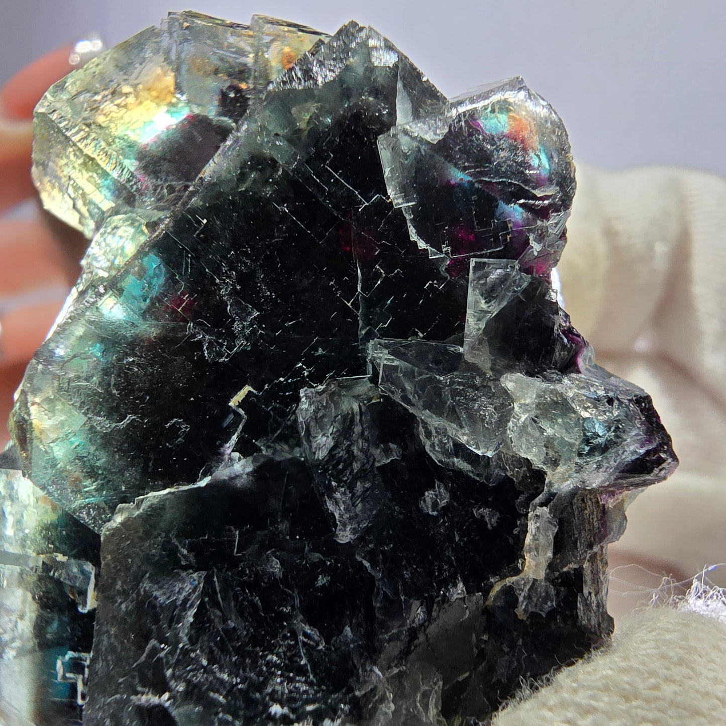 Cube de fluorite fantôme parqueté vert violet Okorusu Namibie 58*37*30mm