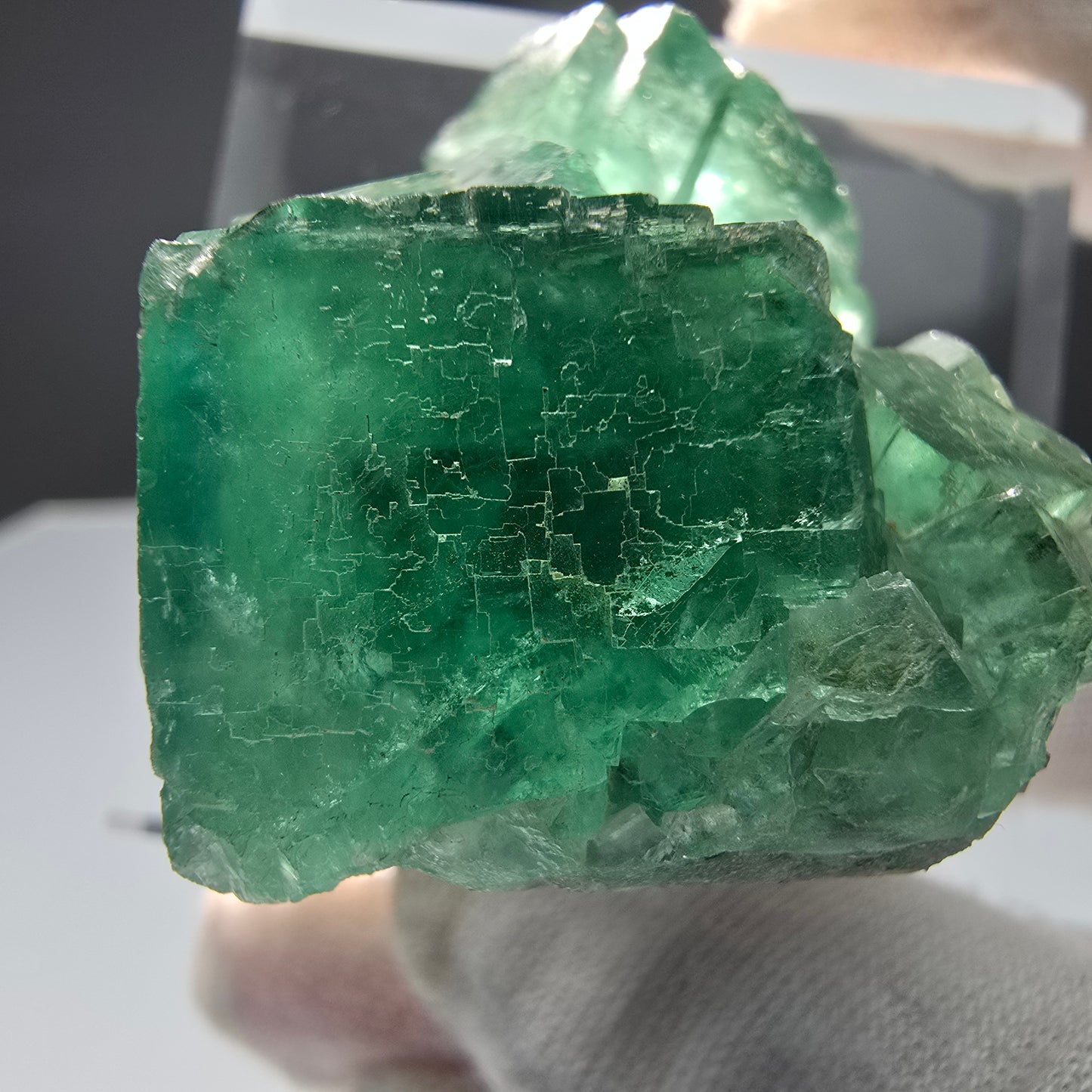 Klare Phantom Fluorit Würfel Stufe grün Okorusu, Namibia 40*36*20mm Sammlung