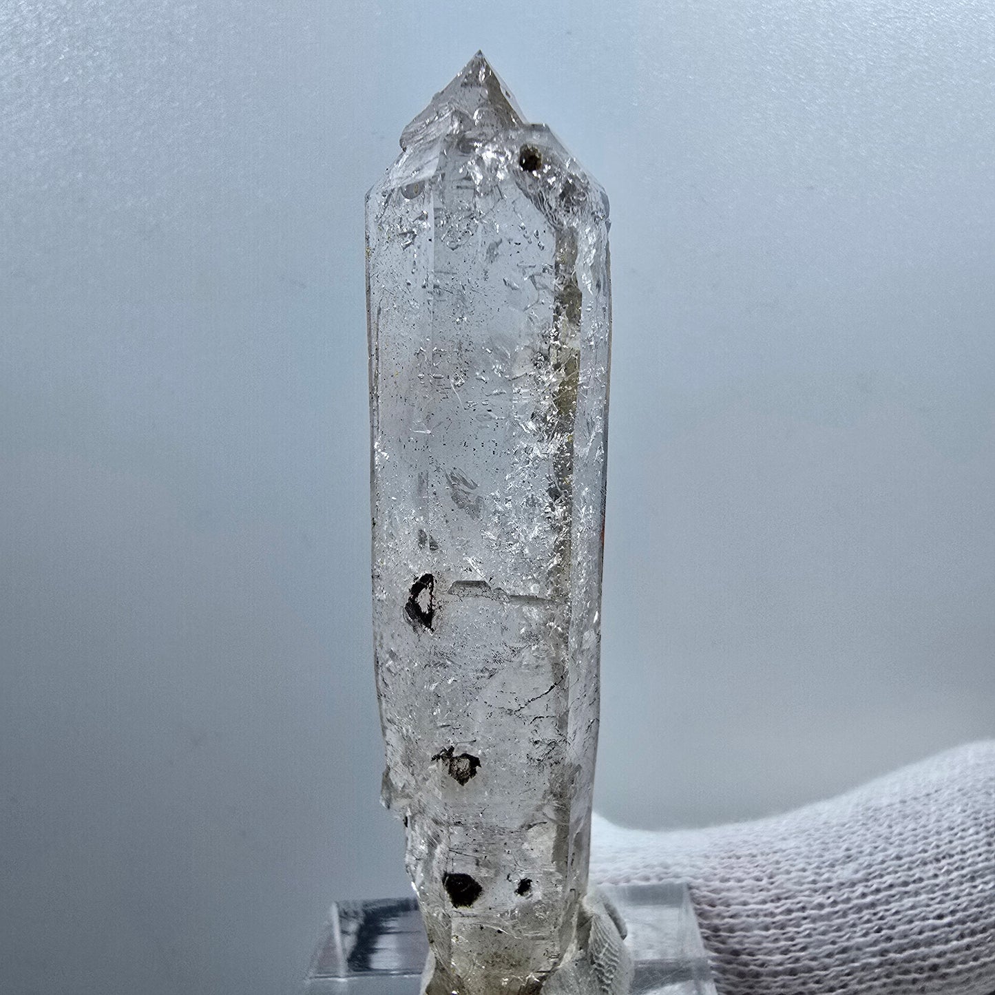 Phantom Smoky Quartz Skeleton Scepter Valentine Pocket Goboboseb Namibia 61*15*12mm