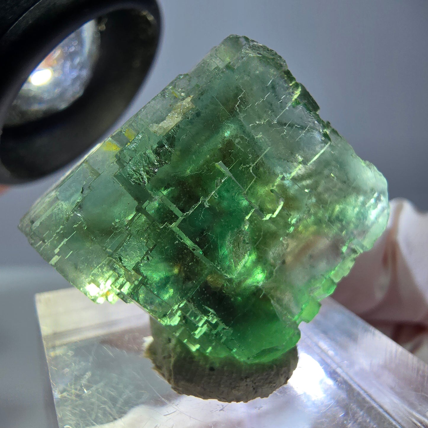 Cube de fluorite fantôme transparente parquetée, vert Okorusu, Namibie 23 x 21 x 15 mm
