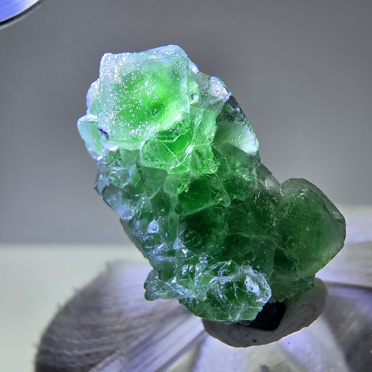 Cube de fluorite fantôme, spécimen de tourmaline Schorl, Erongo, Namibie, 26 x 15 x 15 mm