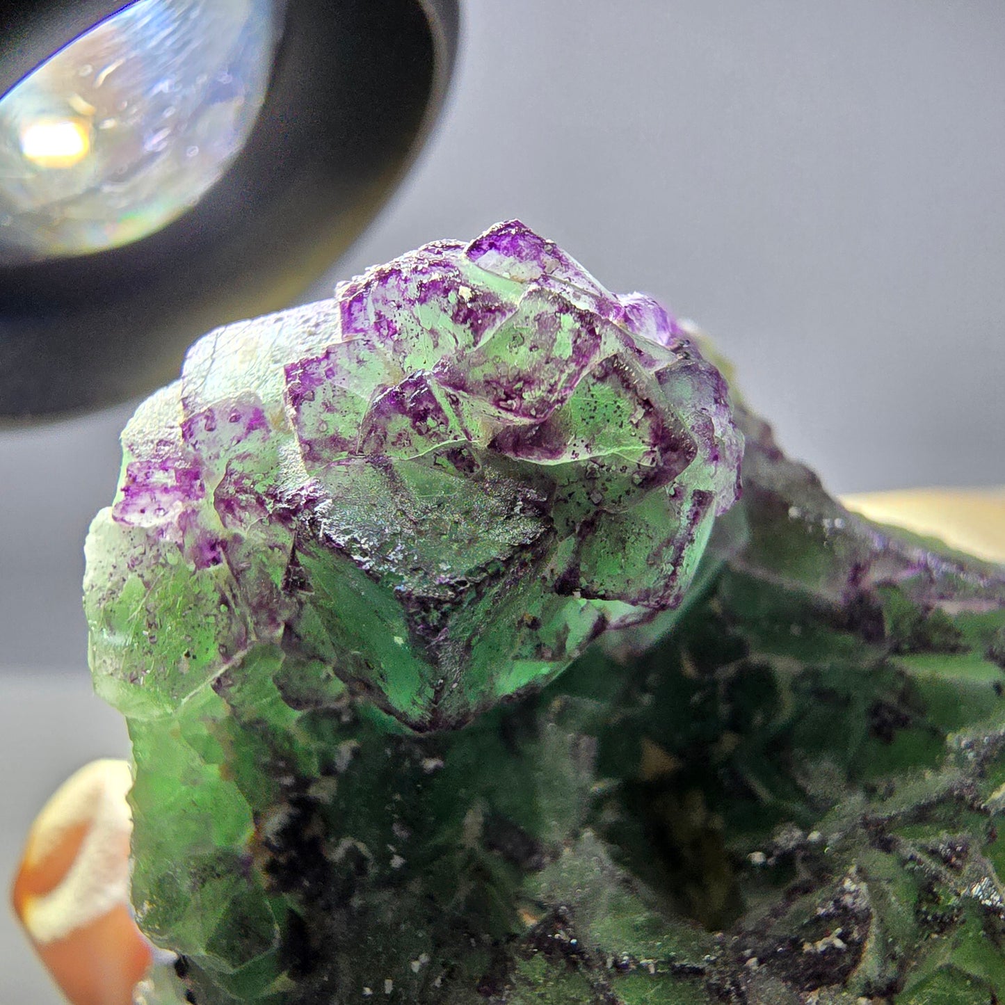 Cube de fluorite fantôme, zonal, muscovite, spécimen de tourmaline Schorl, Erongo, Namibie, 50 x 36 x 36 mm