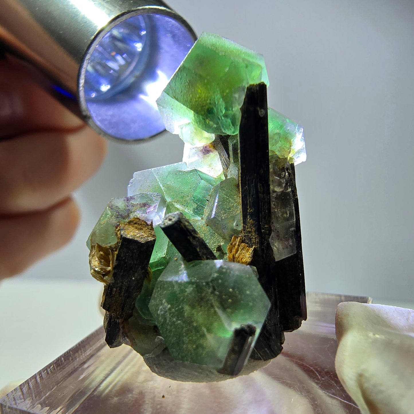 Cube hexagonal de fluorite fantôme, muscovite, tourmaline Schörl, Erongo, Namibie, 30 x 23 x 20 mm
