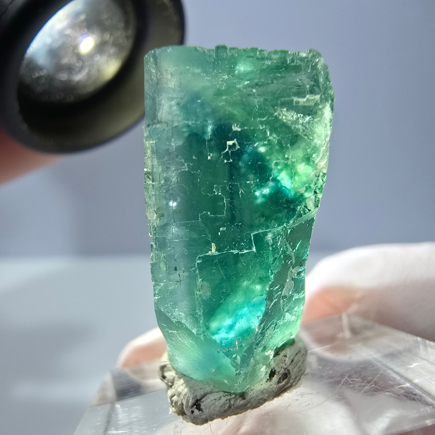 Cube de fluorite fantôme transparente parquetée, vert Okorusu, Namibie 22 x 22 x 17 mm