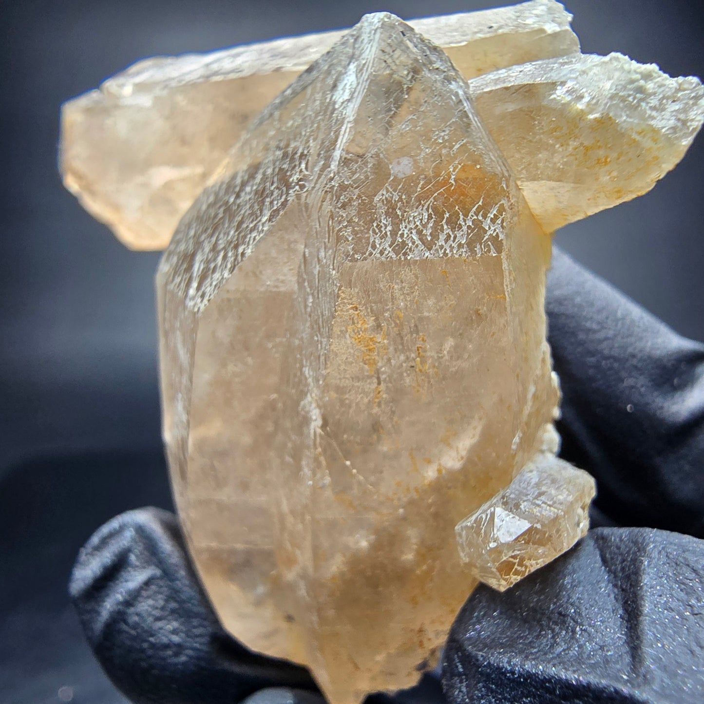 Klare Rauchquarz Zepter mit Schörl Turmalin Stufe Erongo, Namibia 58*47*28mm