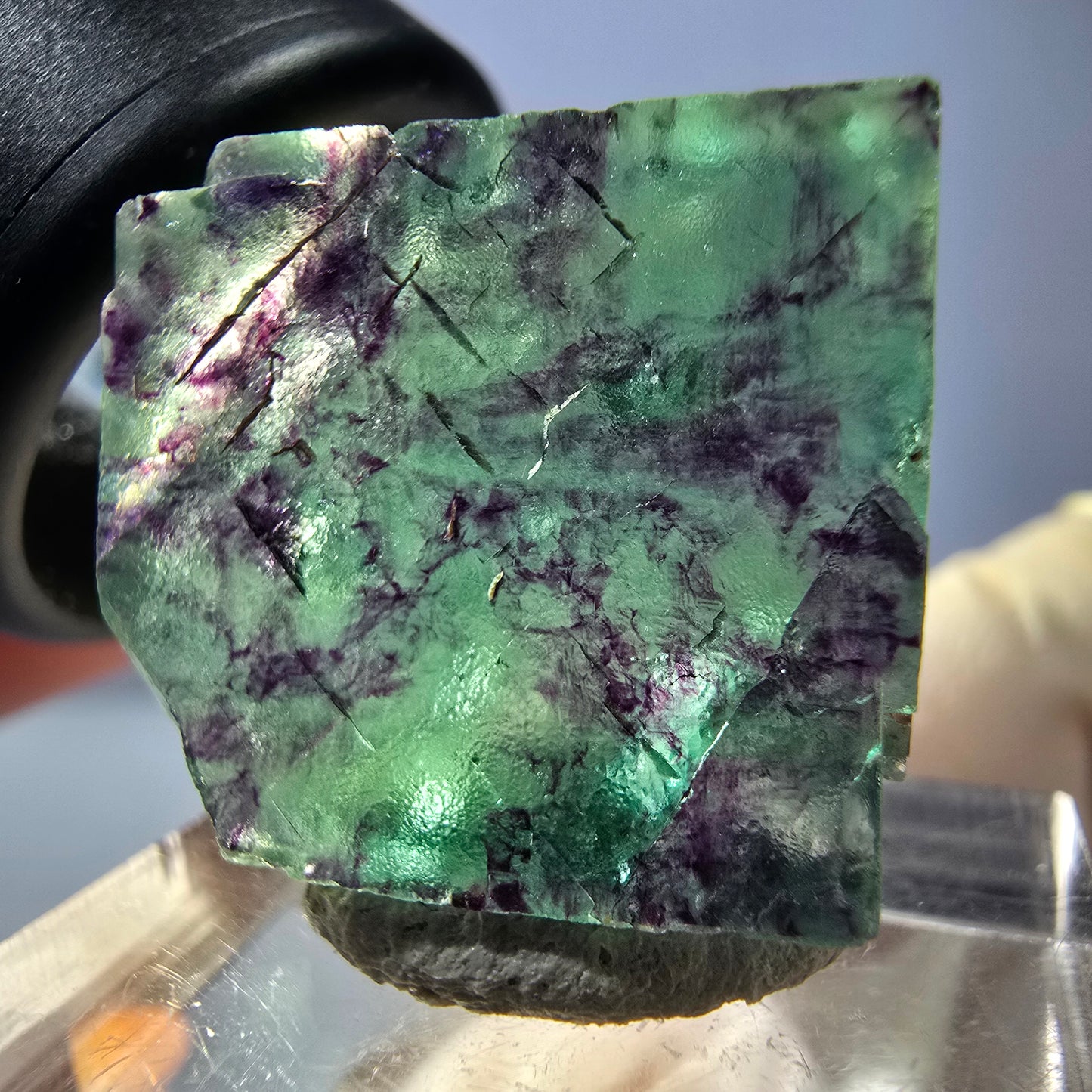 Phantom Fluorit Würfel parkettiert, grün lila Okorusu, Namibia 21*19*8mm