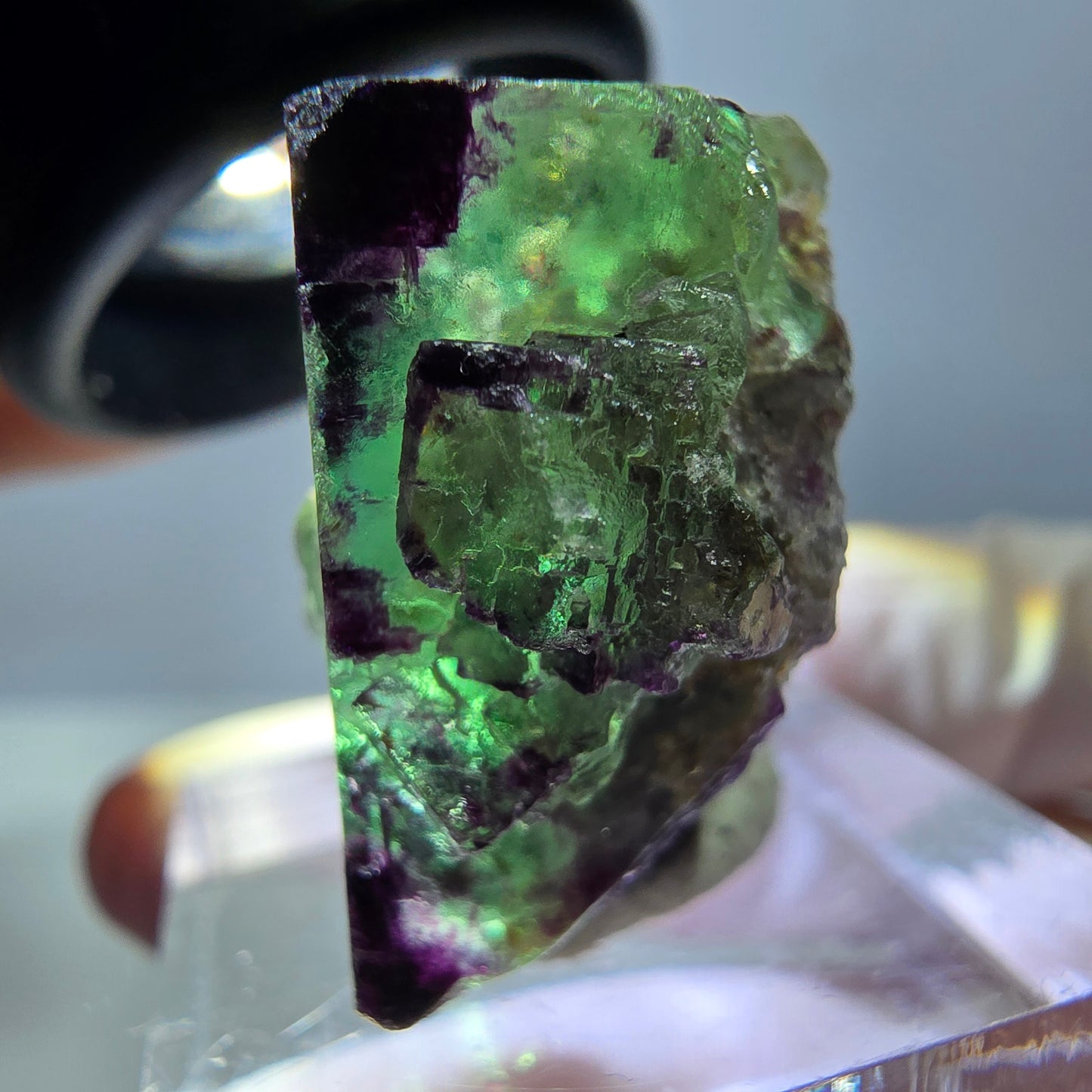 Phantom Fluorit Würfel Stufe, parkettiert, zonal Okorusu, Namibia 27*24*14mm