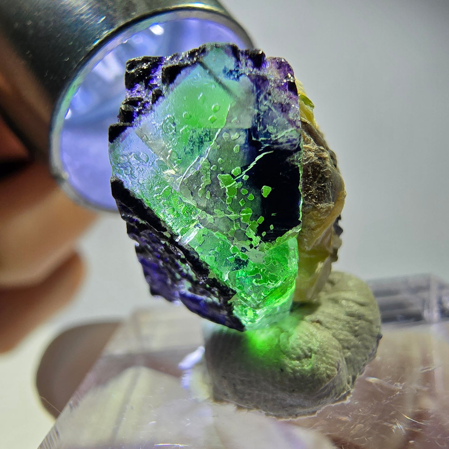 Cube de fluorite fantôme, zonal, muscovite, tourmaline Schorl, Erongo, Namibie, 17 x 14 x 12 mm