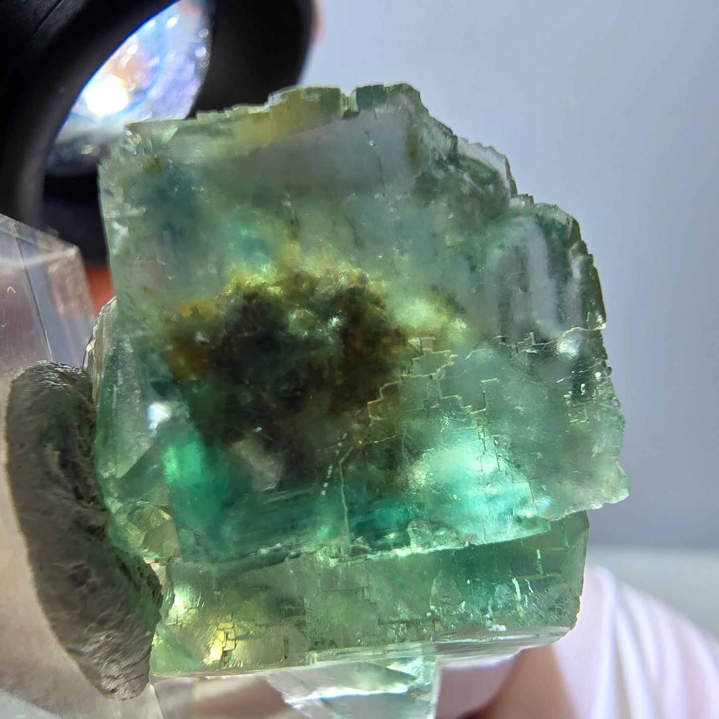 Spécimen de cube de fluorite fantôme, parquet vert Okorusu, Namibie 38 x 25 x 13 mm