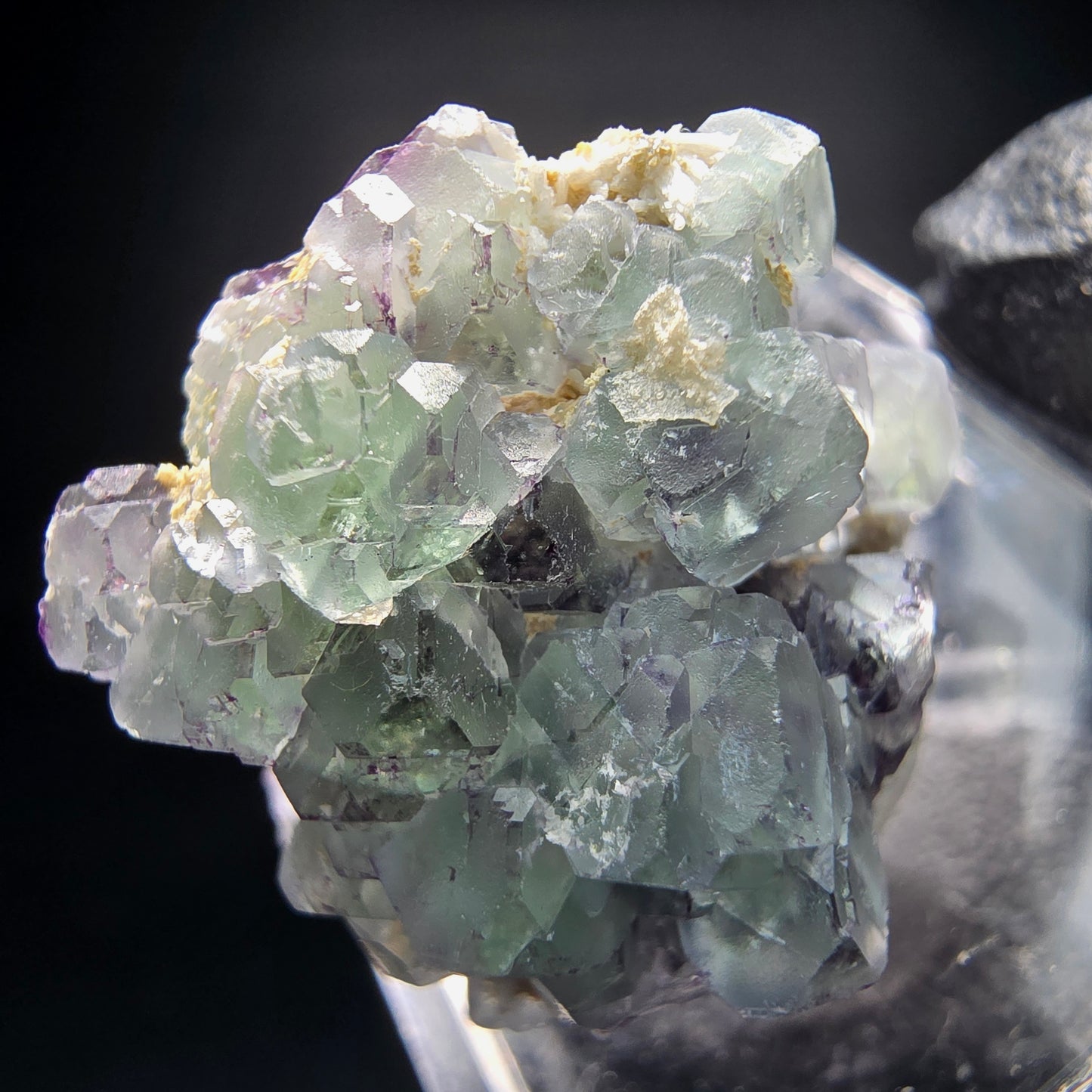 Phantom Fluorite Cube Tier Violet Vert Erongo Namibie 23*19*16mm Collection