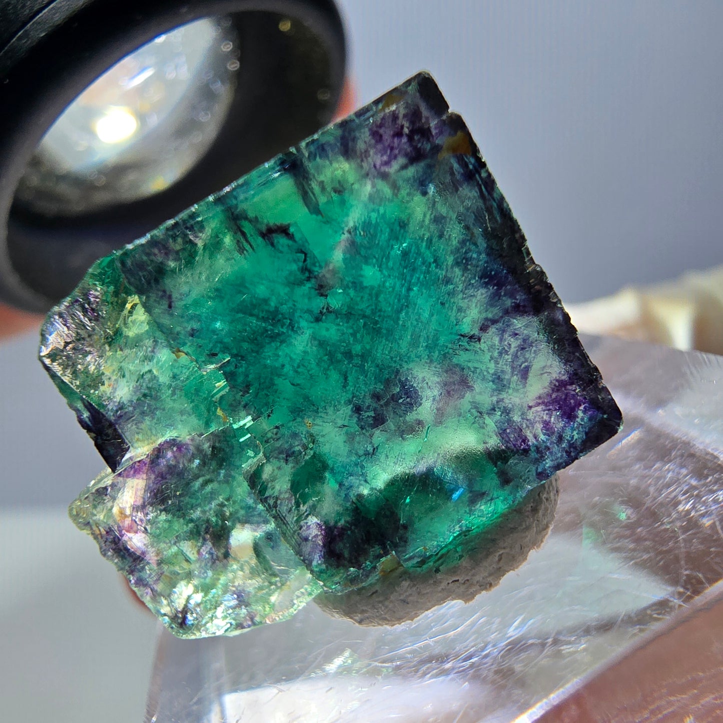 Phantom Fluorit Würfel Stufe, parkettiert grün lila Okorusu, Namibia 18*15*13mm