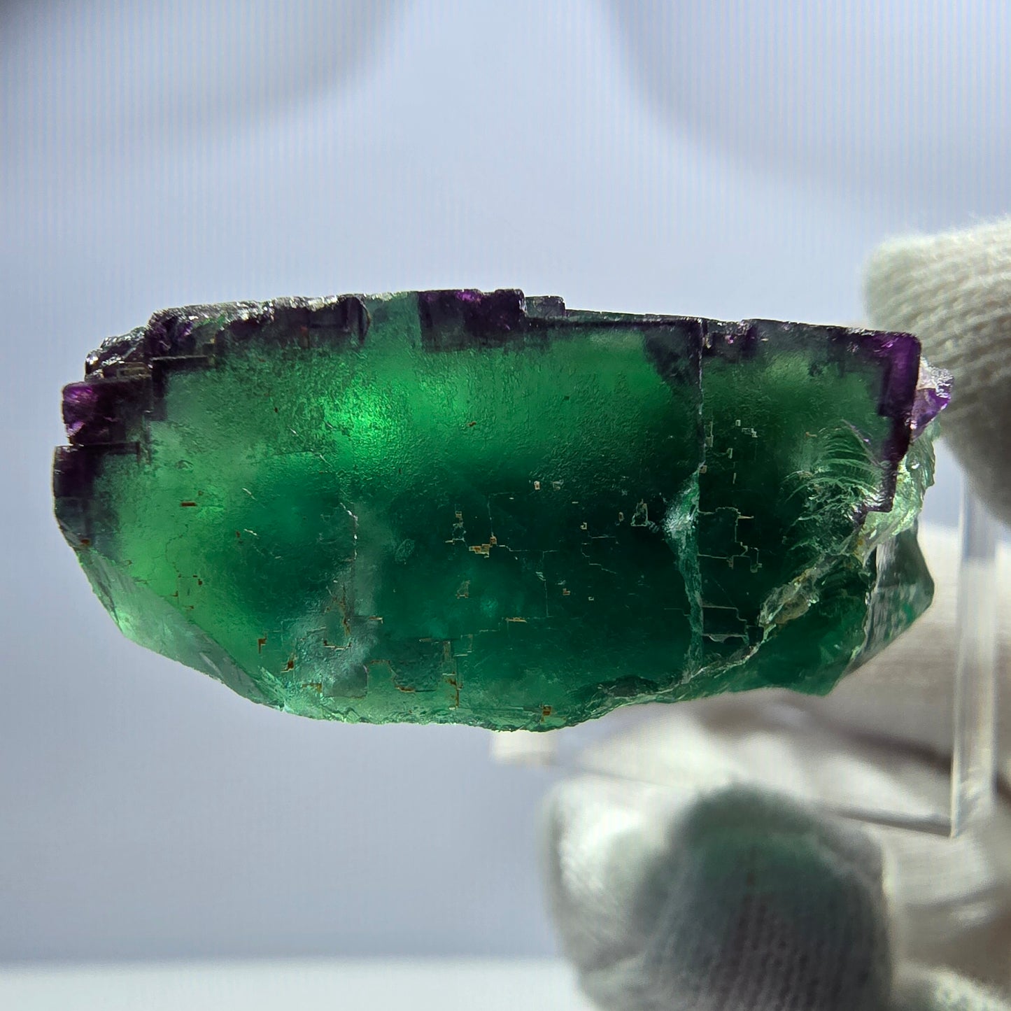 Cube de fluorite fantôme, parquet zonal vert violet Okorusu, Namibie 41*38*14mm