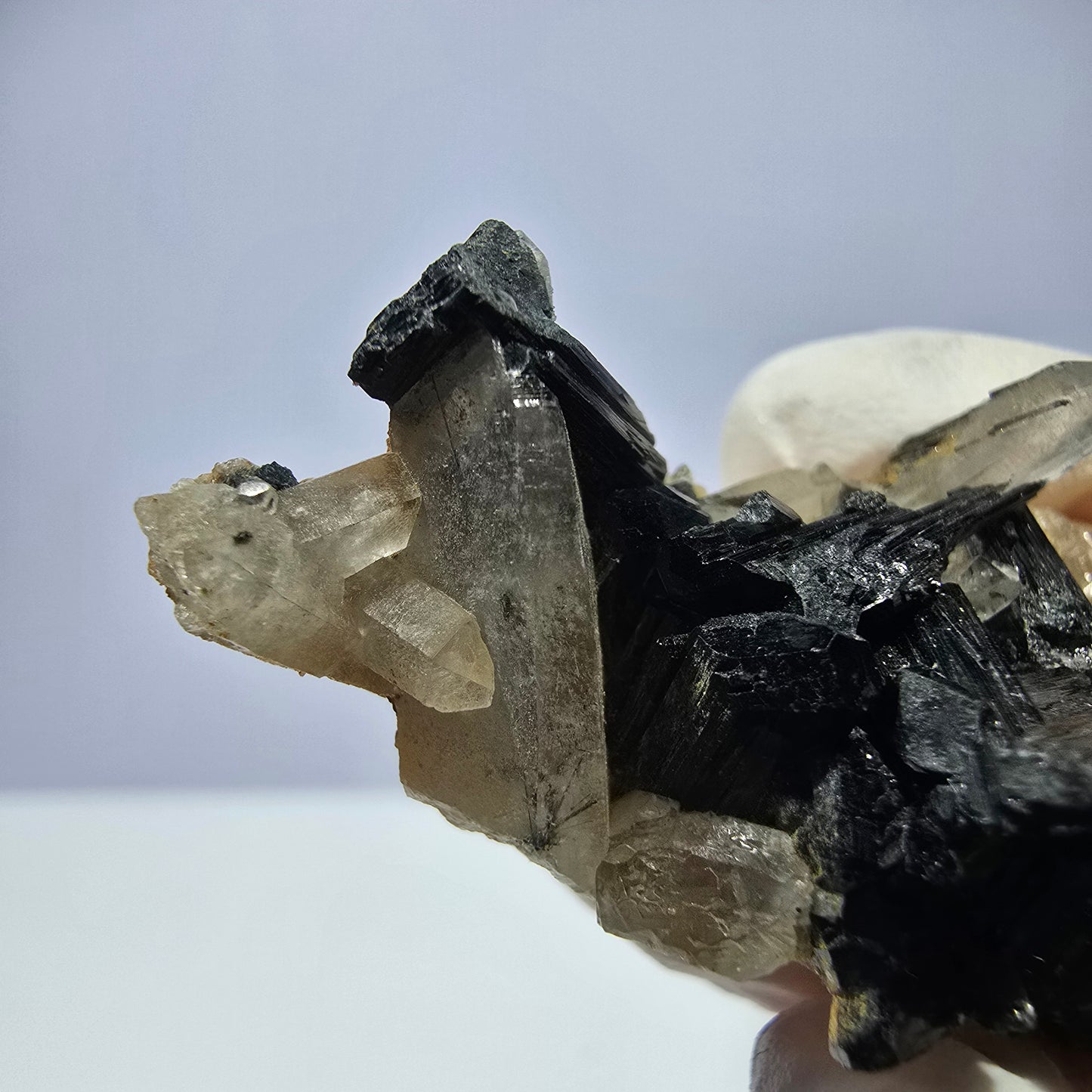 Rare spécimen de tourmaline Schorl et de quartz fumé, Erongo, Namibie, 44 x 24 x 17 mm