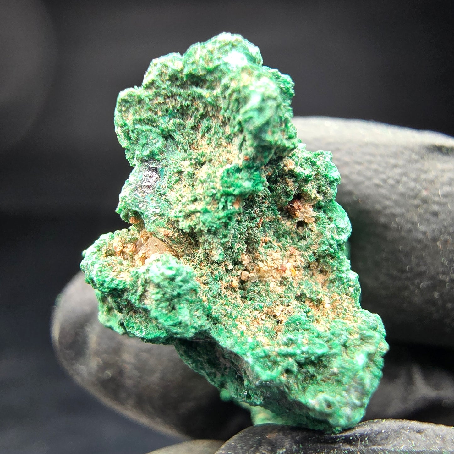 Spécimen rare de malachite, vert Kaokoveld, collection minérale 30*14*17mm namibie