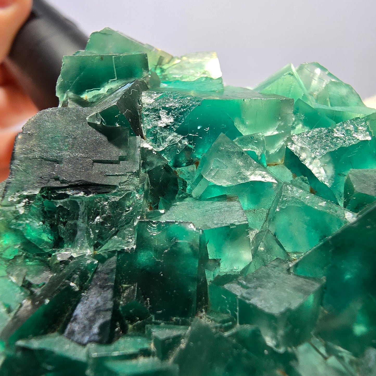Cube de fluorite fantôme parqueté vert violet Okorusu Namibie 60*54*15mm