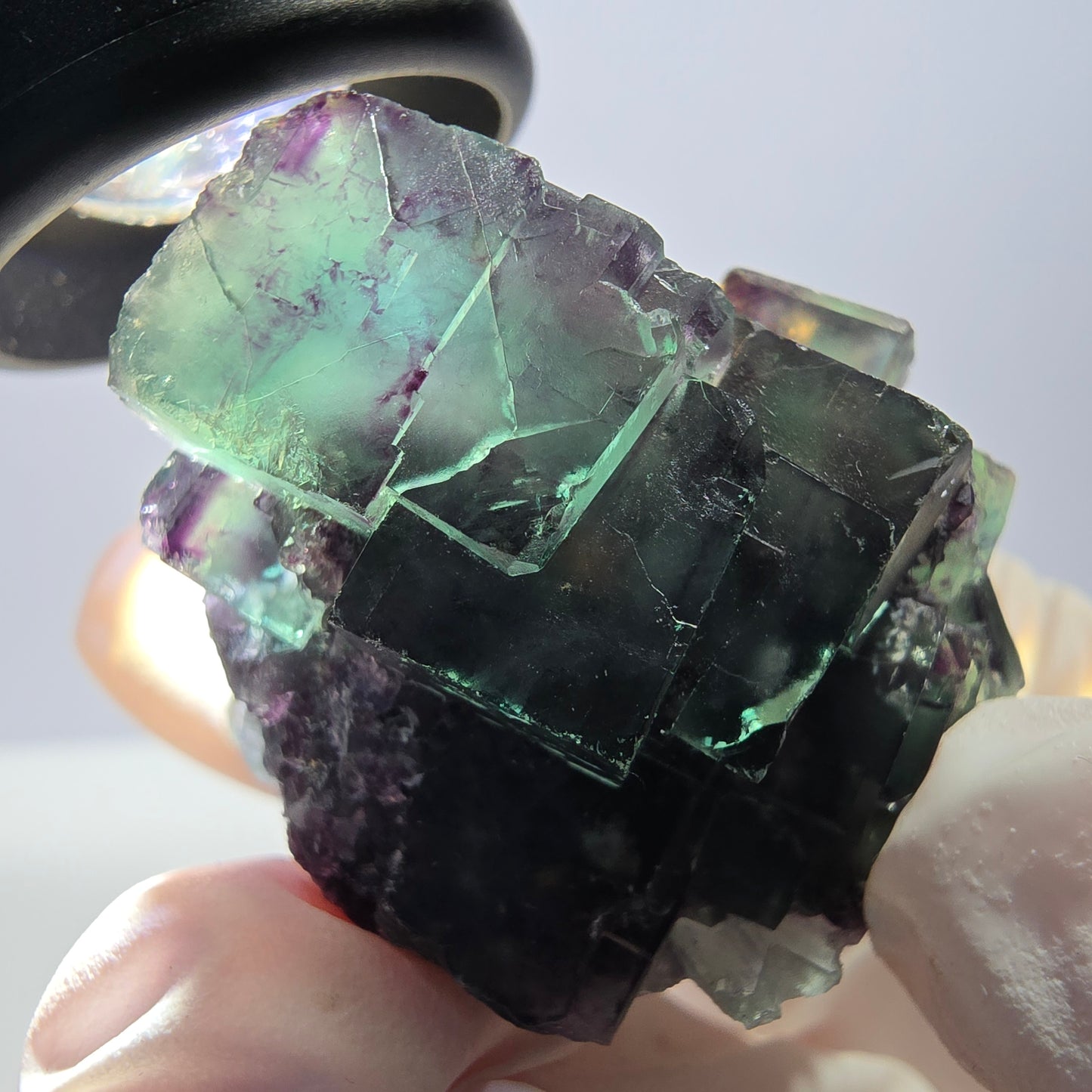 Spécimen de cube de fluorite fantôme parqueté vert violet Okorusu, Namibie 45*42*35 mm